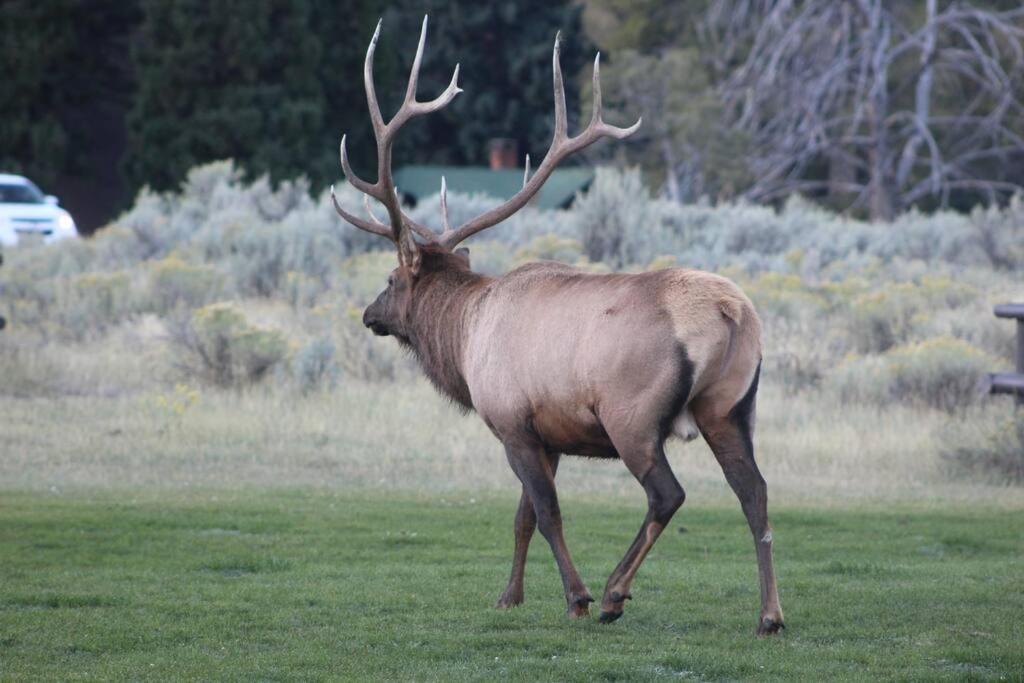 Large Home Less Than 5 Miles To Yellowstone North Entrance, Sleeps Up To 8 Gardiner Exterior photo